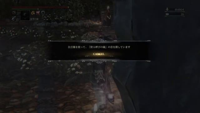 特に決めてないBloodborne