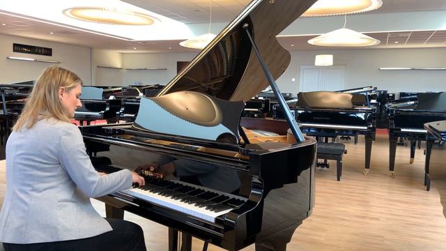 C. Bechstein L167 vleugel, klassieke muziek смотреть онлайн