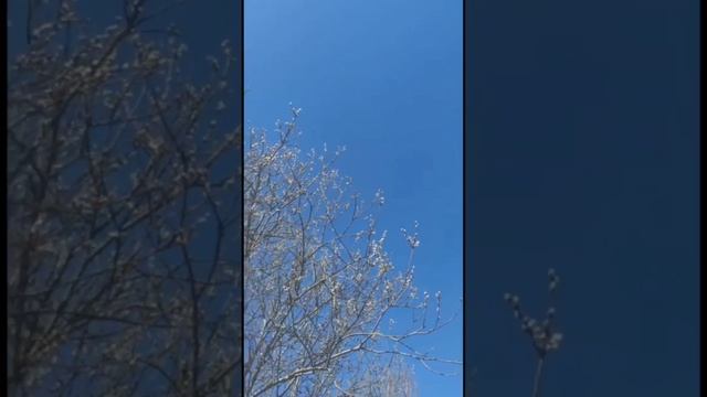  смотреть онлайн