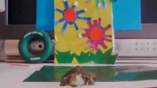 Все о черепахах смотреть онлайн