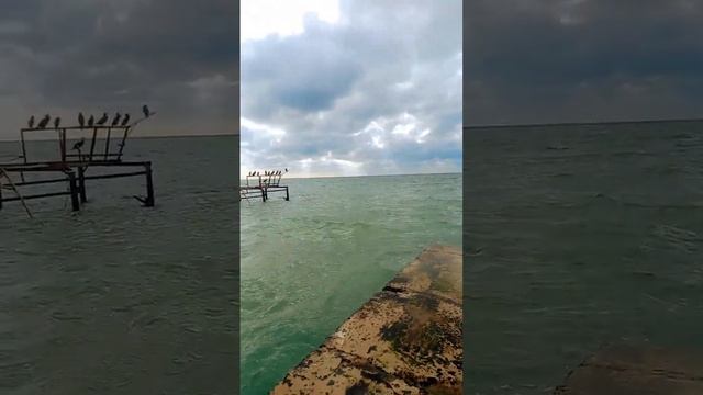 Архипо-Осиповка 2 февраля 2024 года ☁️Обстановка на 10:30 утра ? Видео из YouTube смотреть онлайн