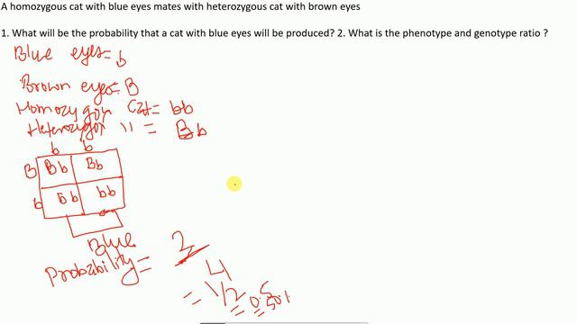Punnett square problems-part 1 | Punnett square dihybrid cross| Homozygous Heterozygous | Alleles смотреть онлайн