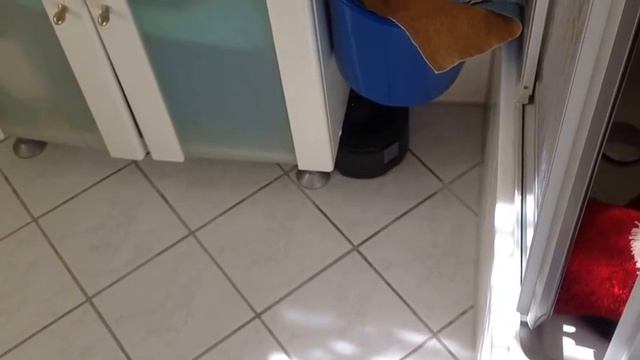 Irobot Scooba 230 Video Test Run смотреть онлайн