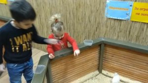 ТРОГАТЕЛЬНЫЙ ЗООПАРК И ТЕРРАРИУМ В СБС КРАСНОДАР, КОРМИМ И ГЛАДИМ ЖИВОТНЫХ