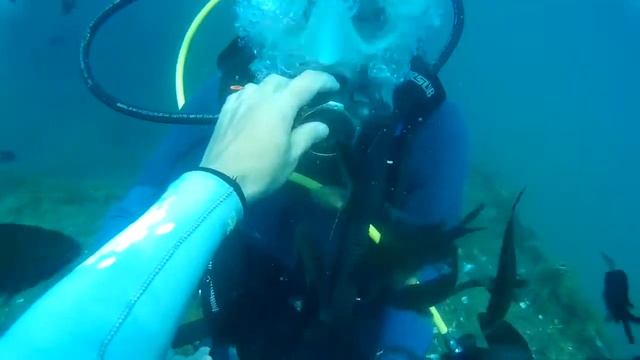 дайвинг в Крыму "Судак Меганом" Затонувший корабль. смотреть онлайн