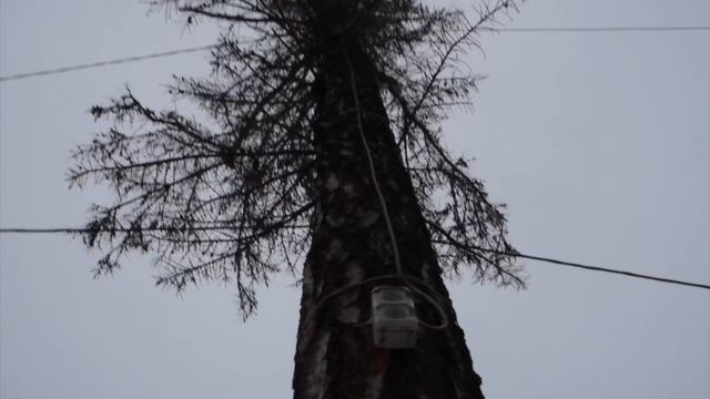 ?? Москва-Владимир смотреть онлайн