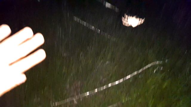 Огромный паук в лесу на дереве и паутине ночью в Подвальских террасах! Подвалье, Самарская область! смотреть онлайн