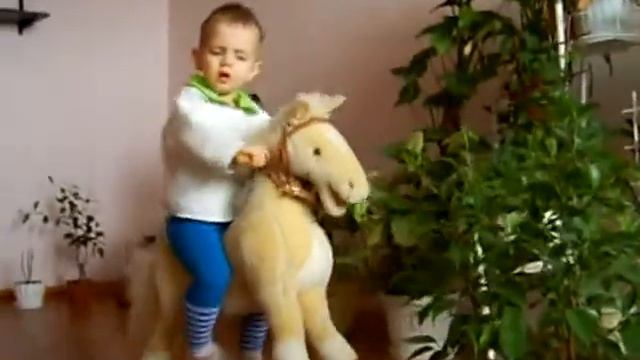Аренда IP адресов смотреть онлайн