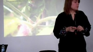 Цветоеды, медяница, листовертка, плодожорка