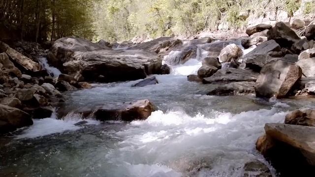 Брат ответил сестре её же словами, а она обиделась: "Мои дети - это совсем другое!" смотреть онлайн