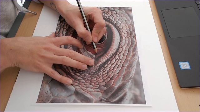 Tracing an outline - Reptile eye смотреть онлайн