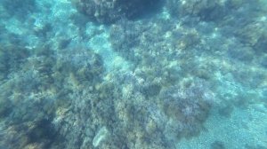 Санаторий Ай-Даниль и его пляж.