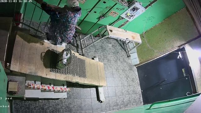 Опять олени в подъезде!!!