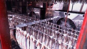 Мойва холодного копчения. Процесс приготовления.