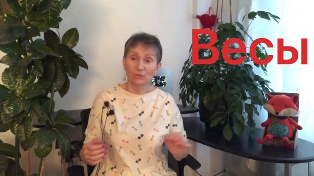 ? Весы ? Февраль 2021 смотреть онлайн