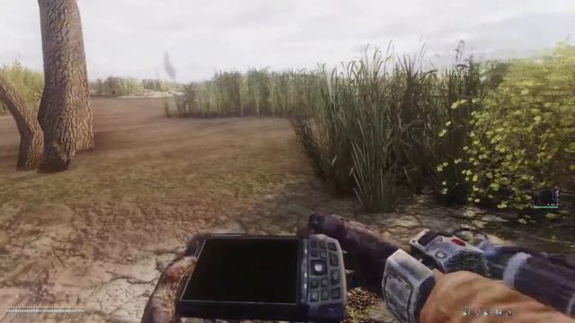 S.T.A.L.K.E.R.: Anomaly (Ecologist) Live Stream #74 (Watertoad Plays) смотреть онлайн