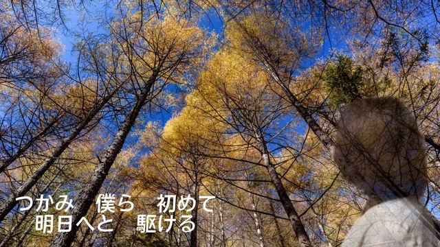 My Favorite Song２【いきものがかり歌ってみた】YELL смотреть онлайн