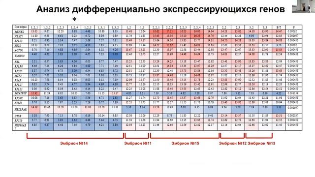 Секвенирование единичных клеток для реконструкции молекулярных кариотипов бластоцист |Дарья Жигалин смотреть онлайн
