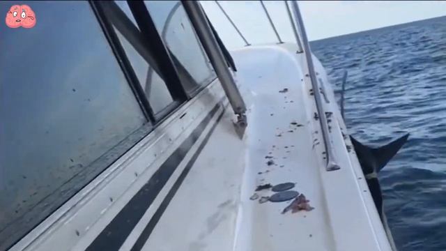 Incredible Footage: Ocean Monster Attacks Boat смотреть онлайн