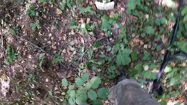 #84 Nokta Anfibio Multi - Коп в лесу смотреть онлайн