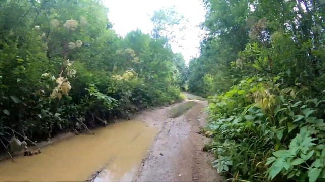 ст.Лебяжье - Коваши - Лопухинка - Капорское - ст.Сергиево 3 августа 2019 смотреть онлайн
