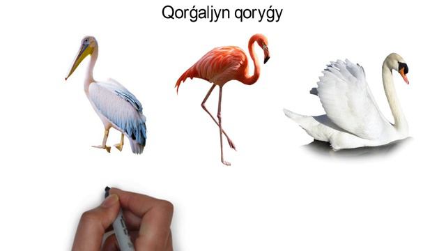 Qazaqstan Qoryqtary (-)