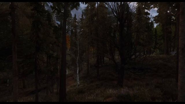 Skyrim LE 2021 | 4K | Scenery Film Look | Patrician 2.6 ENB | +500 mods смотреть онлайн