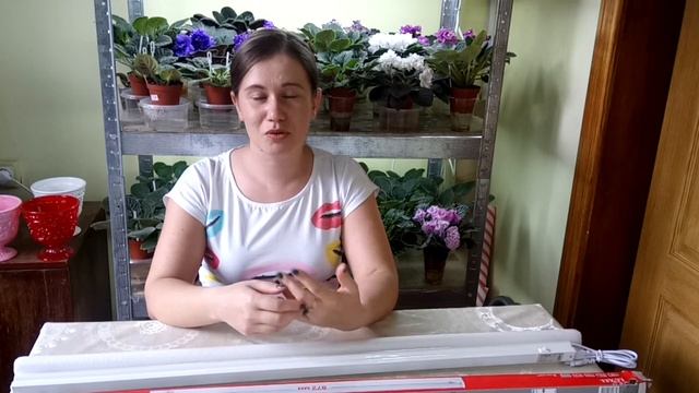 Освещение стеллажа для фиалок. Какие основные параметры для выбора ламп? смотреть онлайн