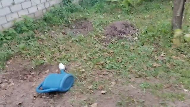 12 августа.. Капец в шоке лето почти нет. Дача Гжель. ❤️❤️?? смотреть онлайн