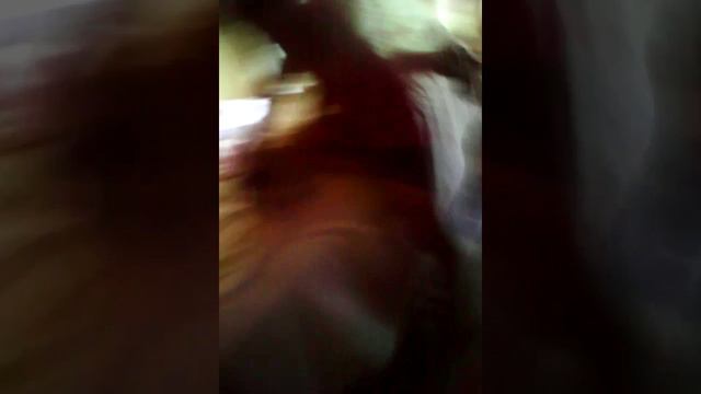 Yael es ta loco смотреть онлайн