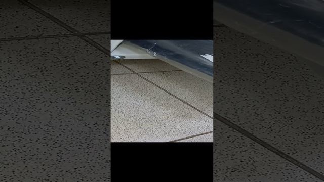 Паук смотреть онлайн