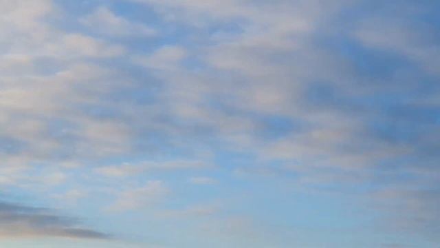 АНАПА - МЫ ТАКОГО ЕЩЁ НЕ ВИДЕЛИ! ДЕЛЬФИНЫ УТРОМ ЗИМОЙ! СИЛЬНО ХОЛОДНО! 27.11.2020