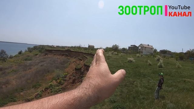 Оползень Кошары. Одесская область. Тилигульский лиман. Устрицы Скифии. Природа. Коблево. #зоотроп смотреть онлайн