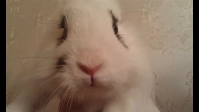 Какой я красивый! смотреть онлайн