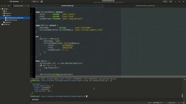 Сериализация JSON в GO,  десериализация в Python