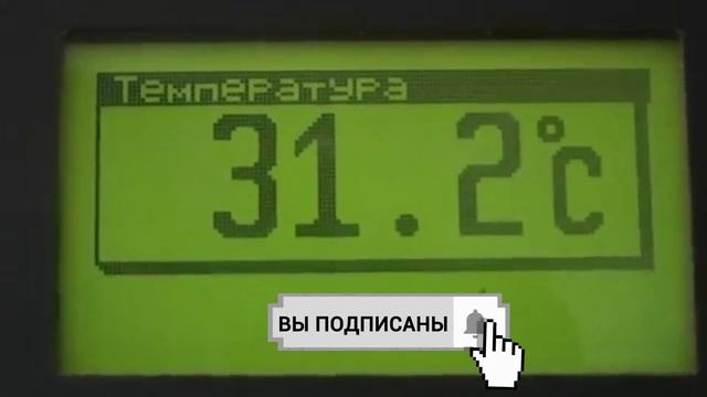 Импортозамещение Россия вышла на нулевой импорт свинины Германия в страхе новости сегодня видео смотреть онлайн