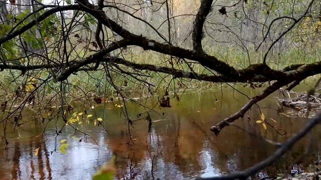 VID 20211005 163918 Как я люблю тебя. 1935 Вл. Набоков... Павел Васильев Лахтинский смотреть онлайн