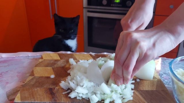 Лук и кошки смотреть онлайн