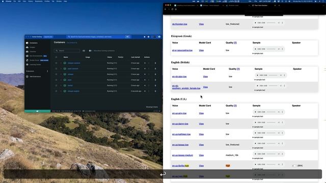 Install local Assist pipeline on Home Assistant Container (Docker) смотреть онлайн