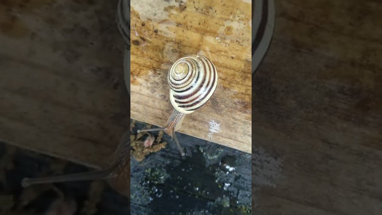 19 июня 2022 г. смотреть онлайн