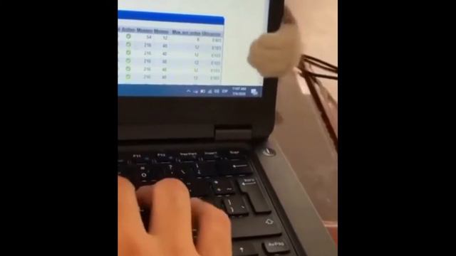 Кошка не против, чтобы вы спали в своей постели На самом краешке смотреть онлайн