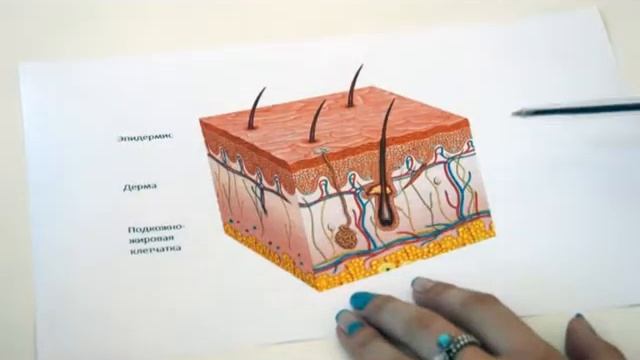 Как образуются прыщи? смотреть онлайн