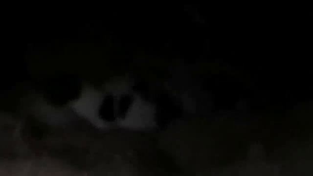 Динуся меня зовёт...