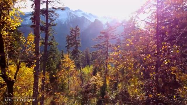 Устраняет стресс, высвобождает мелатонин и токсины - лечебная музыка для сердца и сосудов смотреть онлайн