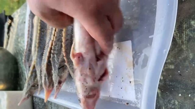 Мастерство уборочных решений