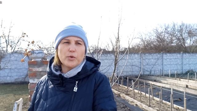 МУЛЬЧУВАННЯ!Найкраще оздоровлення і підживлення ґрунта#мульчуваннягороду#користьмульчі#мульчировани смотреть онлайн