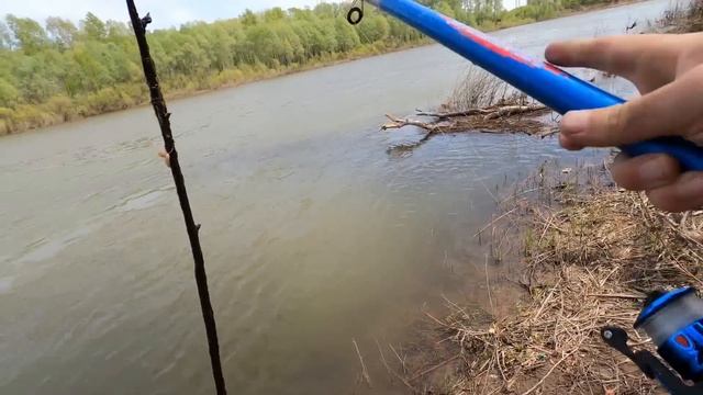 Супер метод ловли на поплавок с берега! Рыба клюёт такая, что удочка в дугу смотреть онлайн