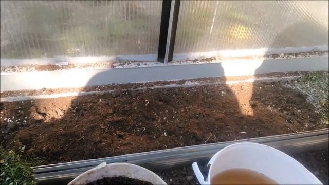 Секреты посадки озимого чеснока для отличного урожая .Geheimnisse des Pflanzens von Winterknoblauch смотреть онлайн