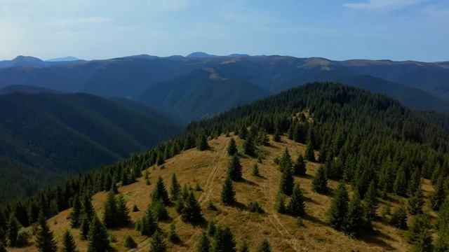 Melodic Flute Music and Angelic Nature Sounds for Deep Relaxation, Angel Messenger смотреть онлайн