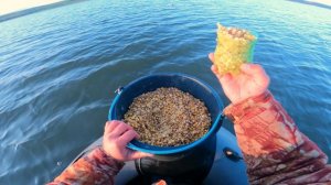 СЫДА | ПРОБНАЯ РЫБАЛКА НА САЗАНА